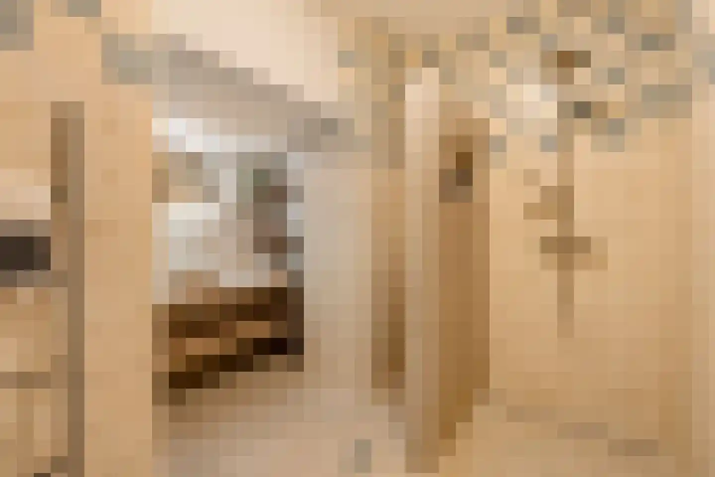 Zeeburgerkade 48 Amsterdam thumbnail 12