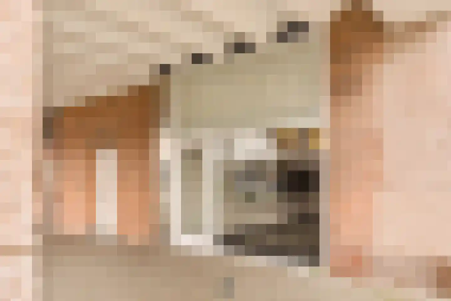 Zeeburgerkade 48 Amsterdam thumbnail 24