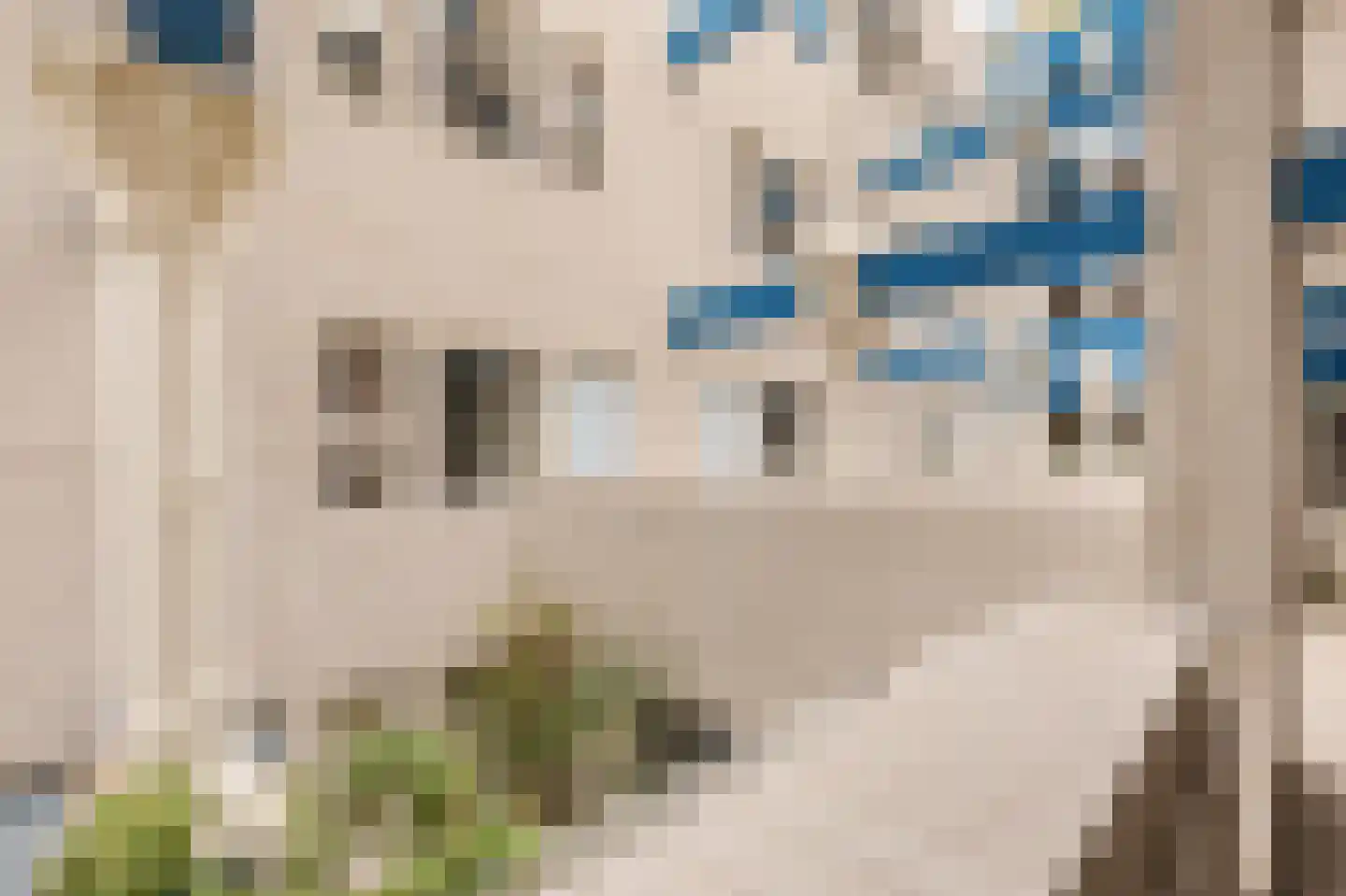 Zeeburgerkade 532 Amsterdam thumbnail 5