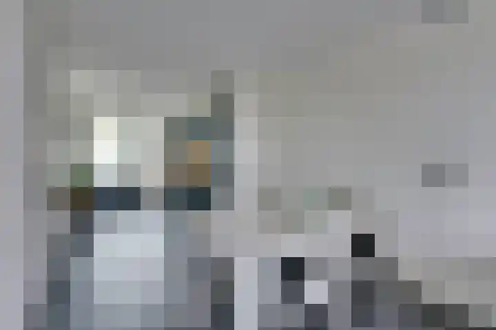 Zeeburgerkade 586 Amsterdam thumbnail 10