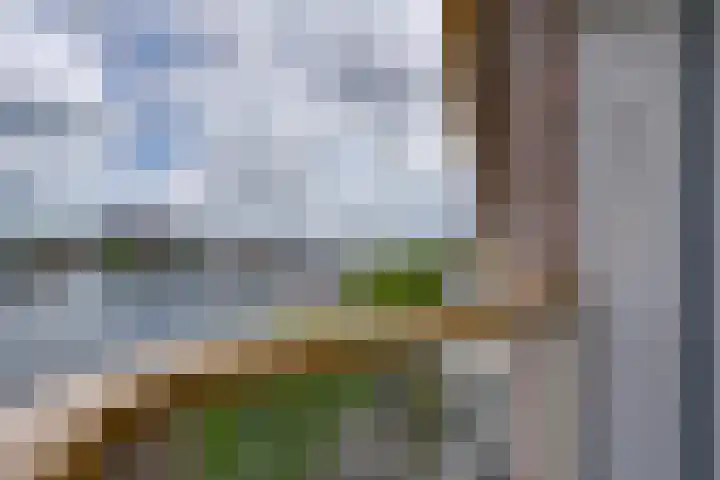 Zeeburgerkade 586 Amsterdam thumbnail 6