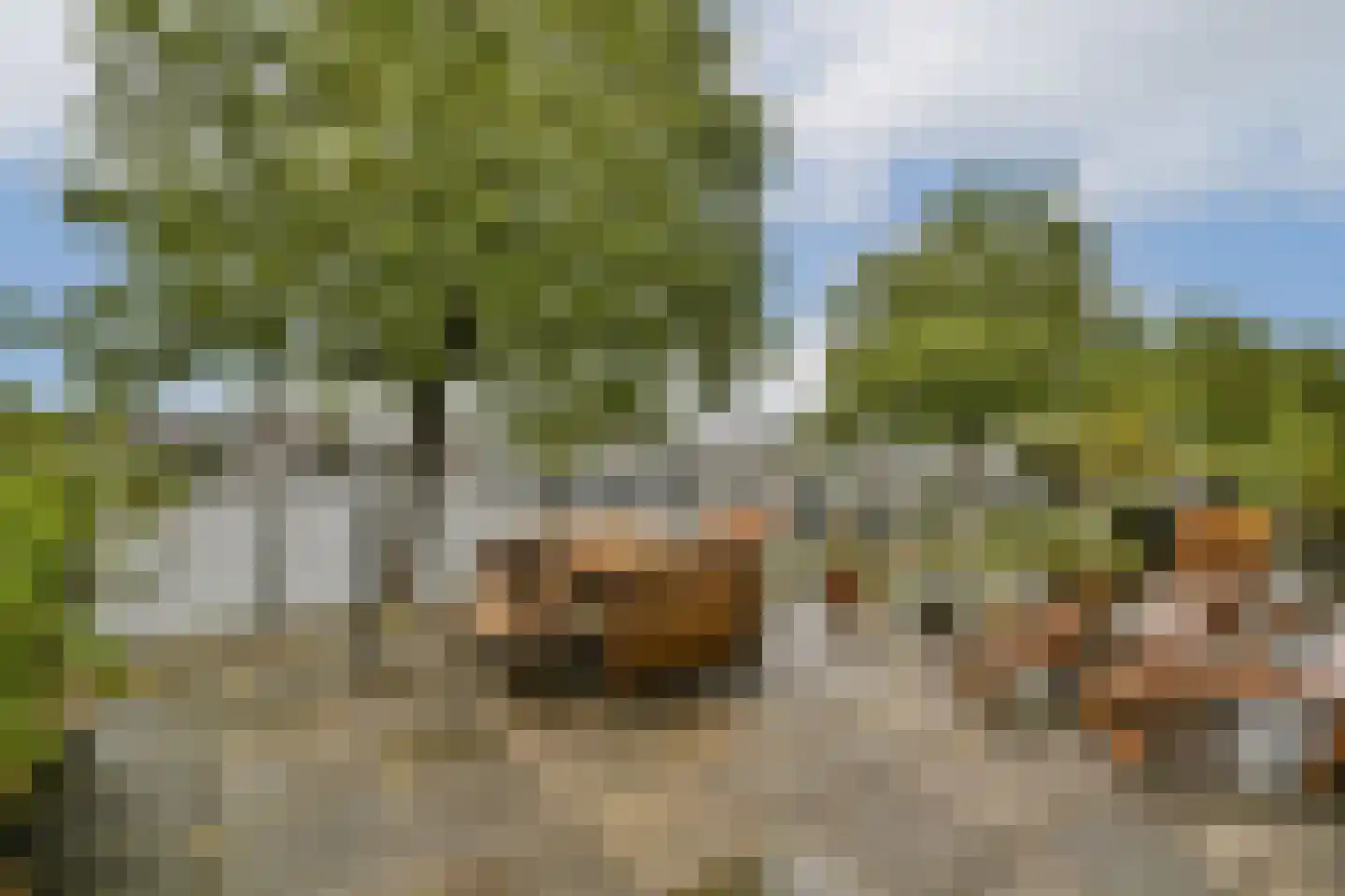 Zeeburgerkade 614 Amsterdam thumbnail 10