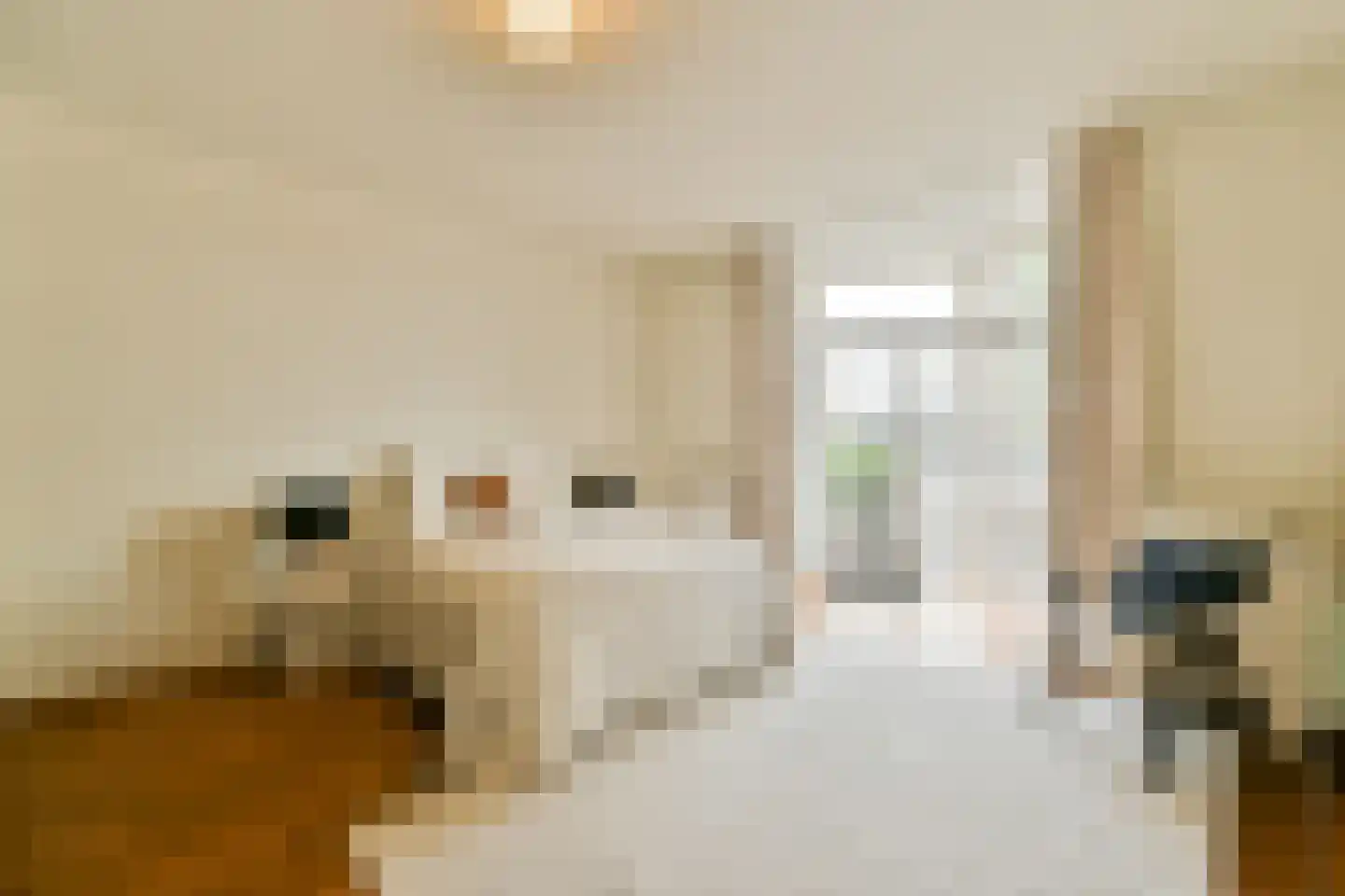 Zeeburgerkade 614 Amsterdam thumbnail 11
