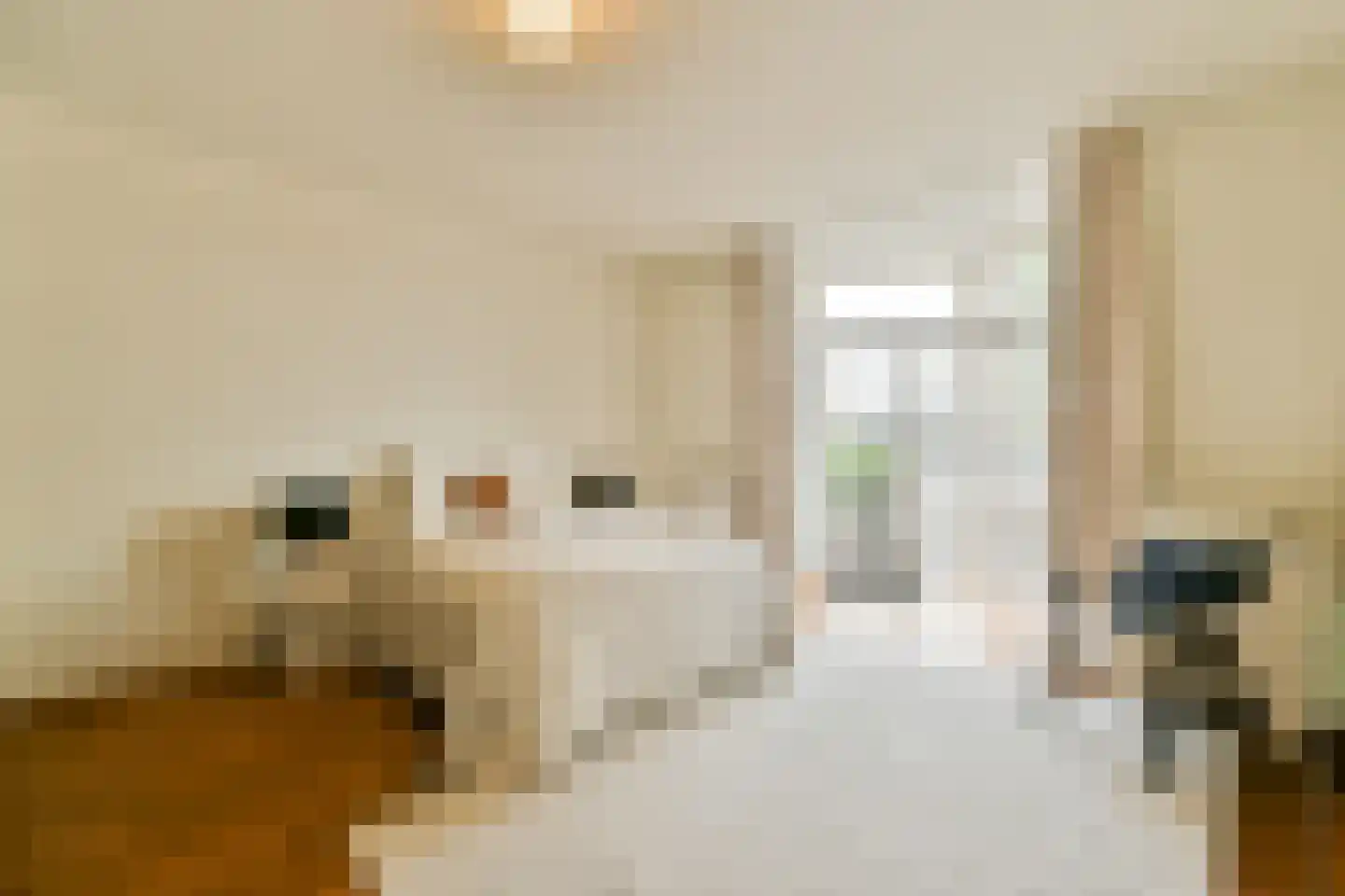 Zeeburgerkade 614 Amsterdam thumbnail 8