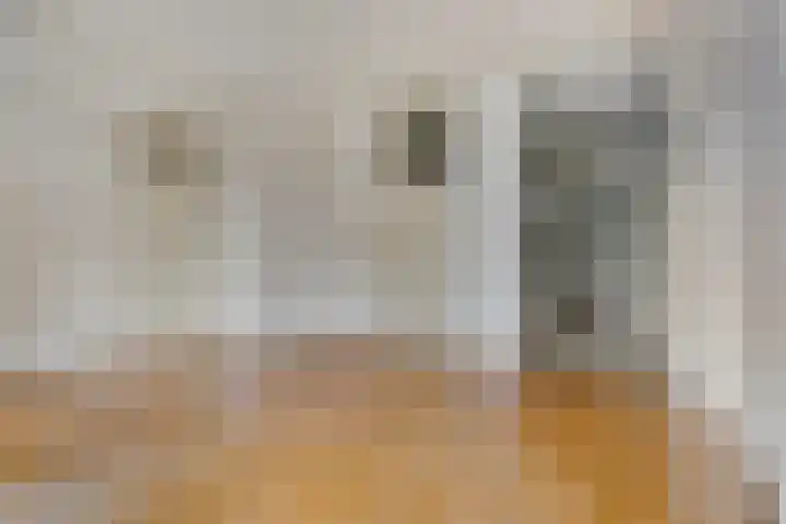 Zeeburgerkade 628 Amsterdam thumbnail 13