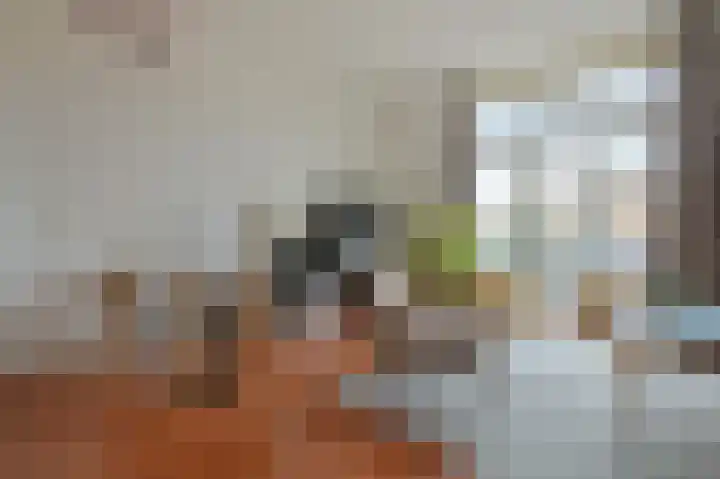 Zeeburgerkade 632 Amsterdam thumbnail 11