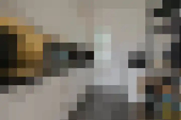 Zeeburgerkade 632 Amsterdam thumbnail 16