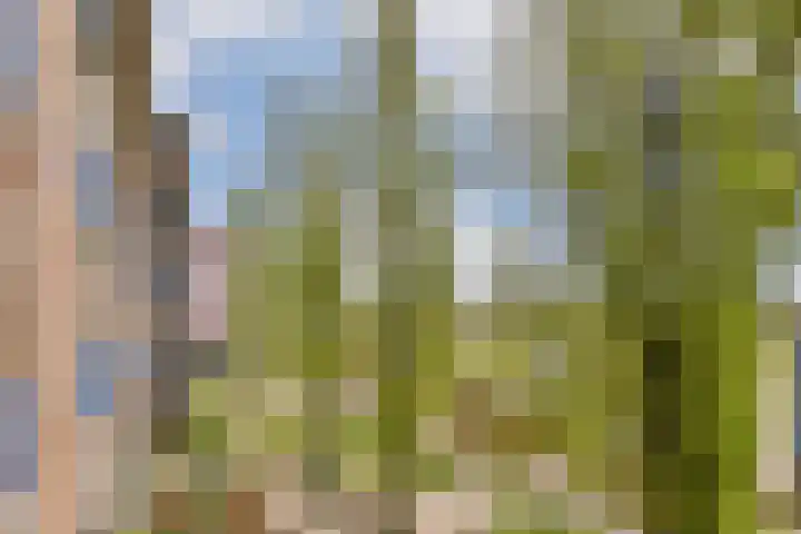 Zeeburgerkade 658 Amsterdam thumbnail 15