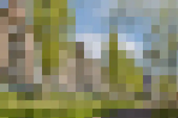 Zeeburgerkade 658 Amsterdam thumbnail 21