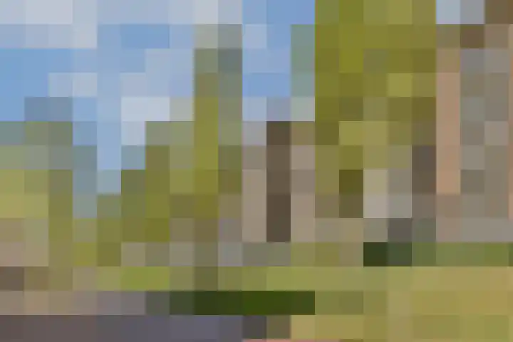 Zeeburgerkade 658 Amsterdam thumbnail 24