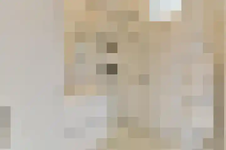 Zeeburgerkade 664 Amsterdam thumbnail 19