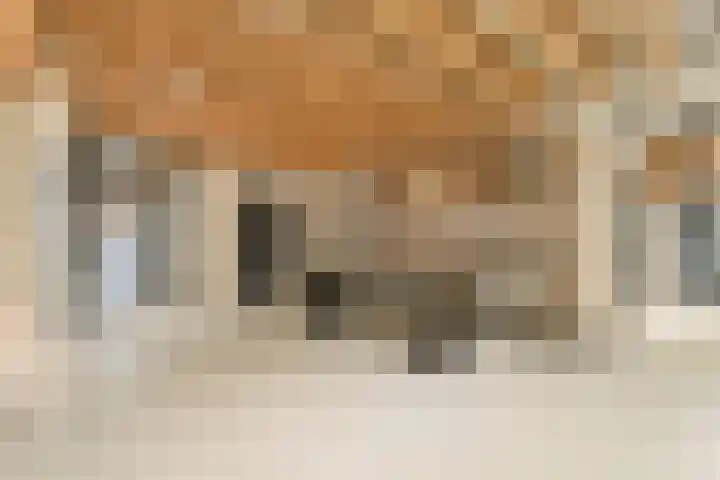 Zeeburgerkade 664 Amsterdam thumbnail 25