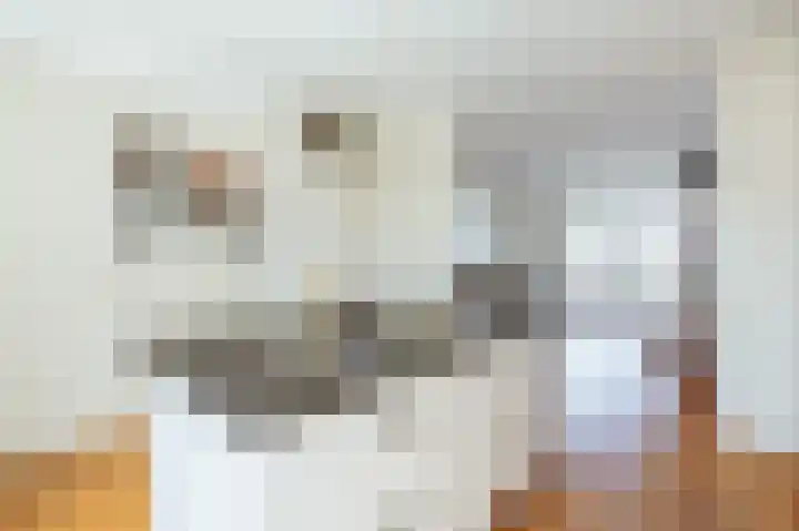 Zeeburgerkade 698 Amsterdam thumbnail 10