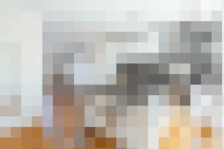 Zeeburgerkade 698 Amsterdam thumbnail 6