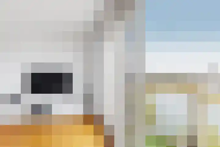 Zeeburgerkade 700 Amsterdam thumbnail 15