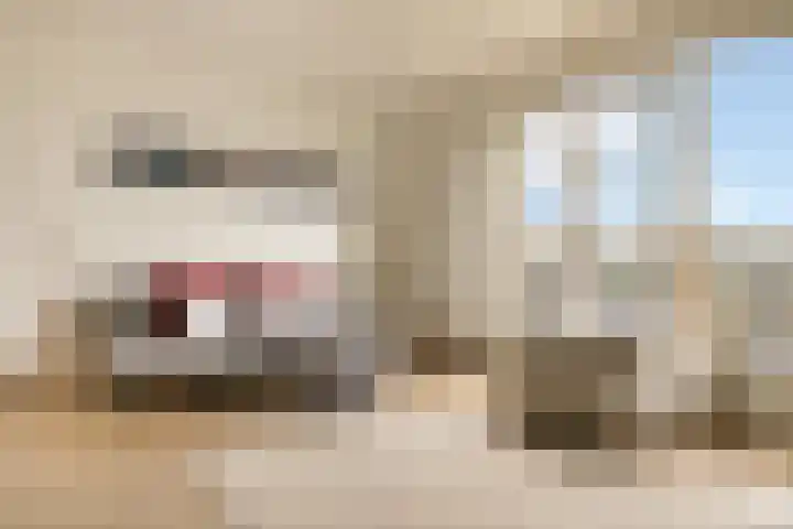 Zeeburgerkade 706 Amsterdam thumbnail 15
