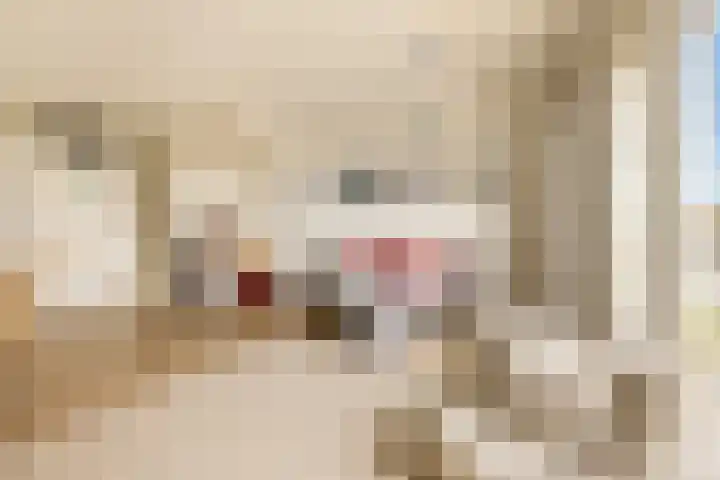 Zeeburgerkade 706 Amsterdam thumbnail 16