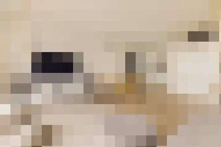 Zeeburgerkade 706 Amsterdam thumbnail 17