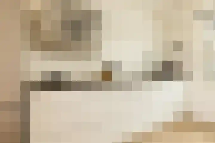 Zeeburgerkade 706 Amsterdam thumbnail 19