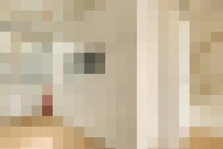 Zeeburgerkade 706 Amsterdam thumbnail 20