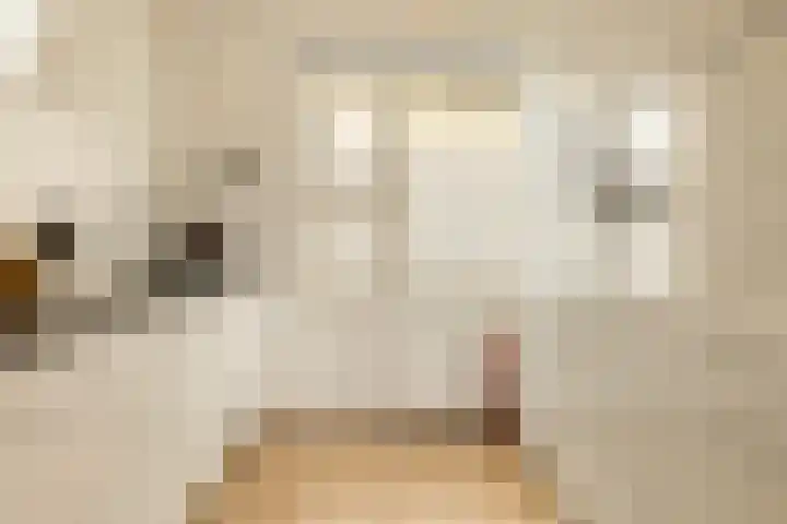 Zeeburgerkade 706 Amsterdam thumbnail 21
