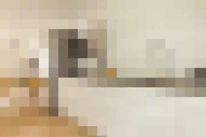 Zeeburgerkade 706 Amsterdam thumbnail 22