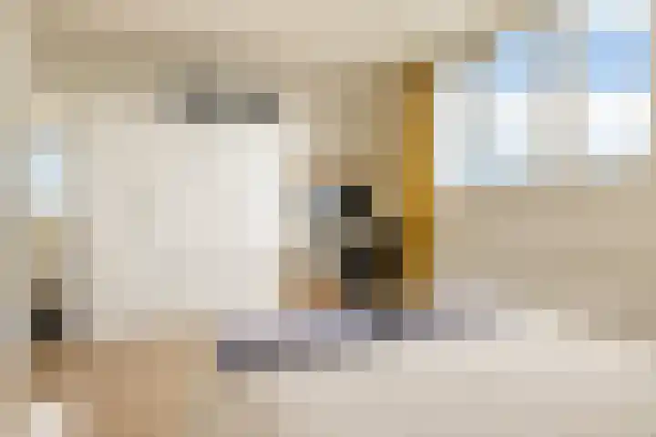 Zeeburgerkade 706 Amsterdam thumbnail 30