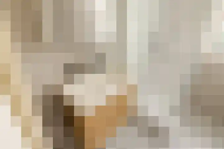 Zeeburgerkade 706 Amsterdam thumbnail 34