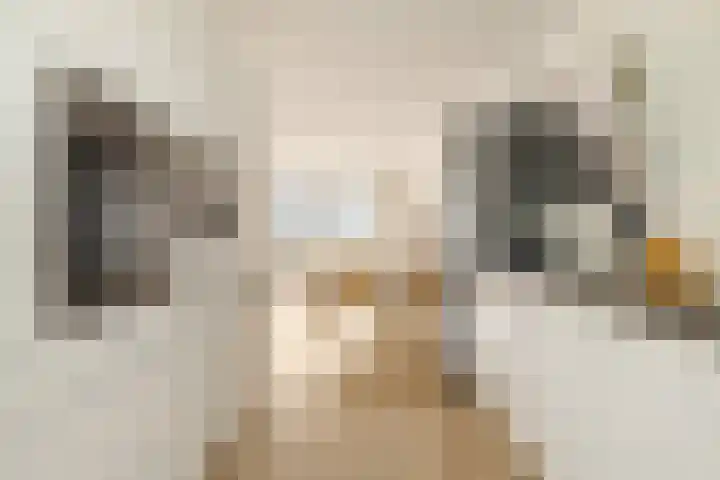 Zeeburgerkade 706 Amsterdam thumbnail 4