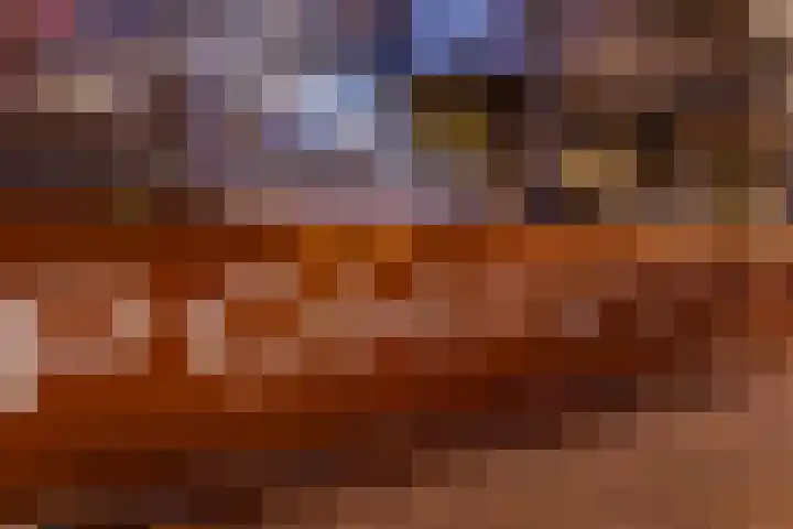 Zeeburgerkade 706 Amsterdam thumbnail 48