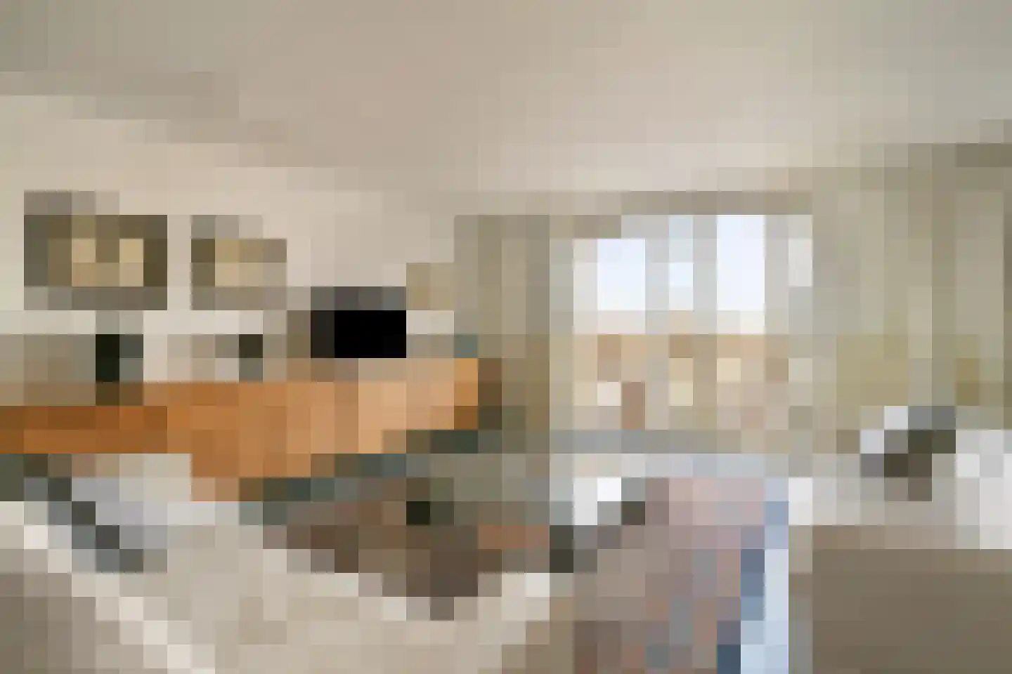 Zeeburgerkade 818 Amsterdam thumbnail 7