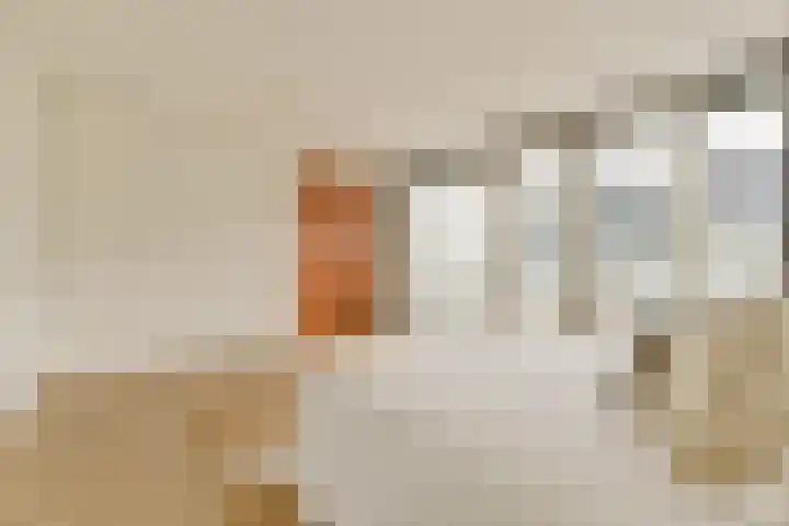 Zeeburgerkade 932 Amsterdam thumbnail 22