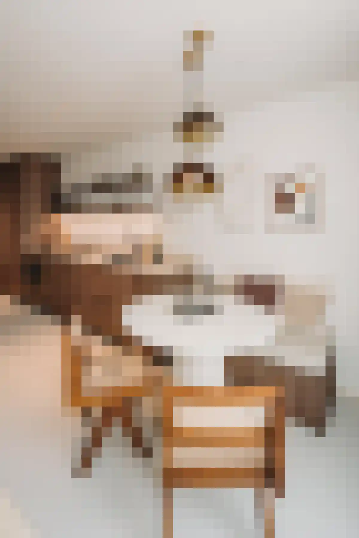 Zeeburgerpad Amsterdam thumbnail 4