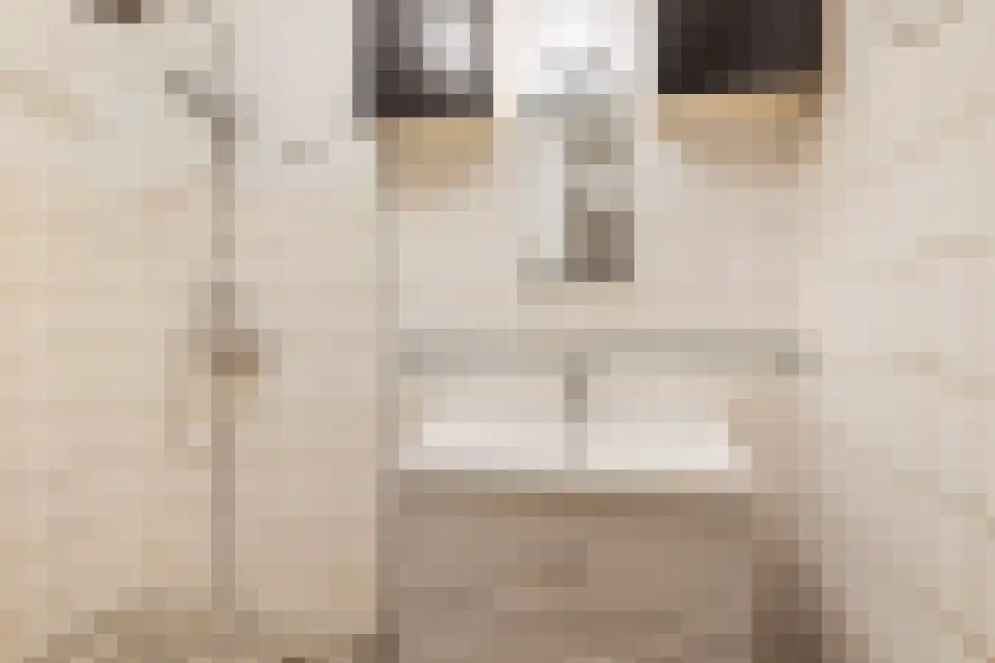 Zeeburgerstraat 72 Amsterdam thumbnail 10