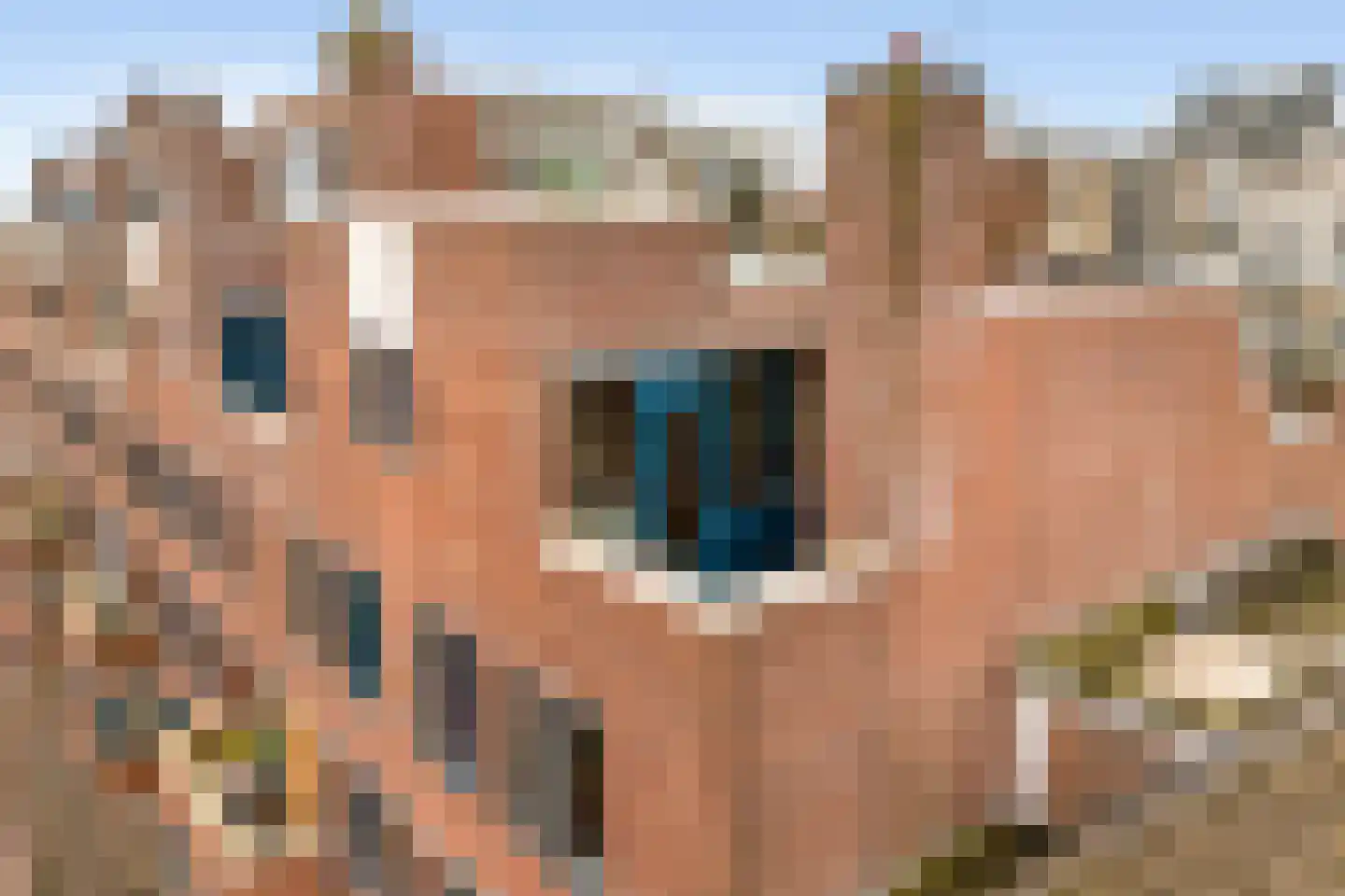 Zeeburgerstraat 72 Amsterdam thumbnail 20