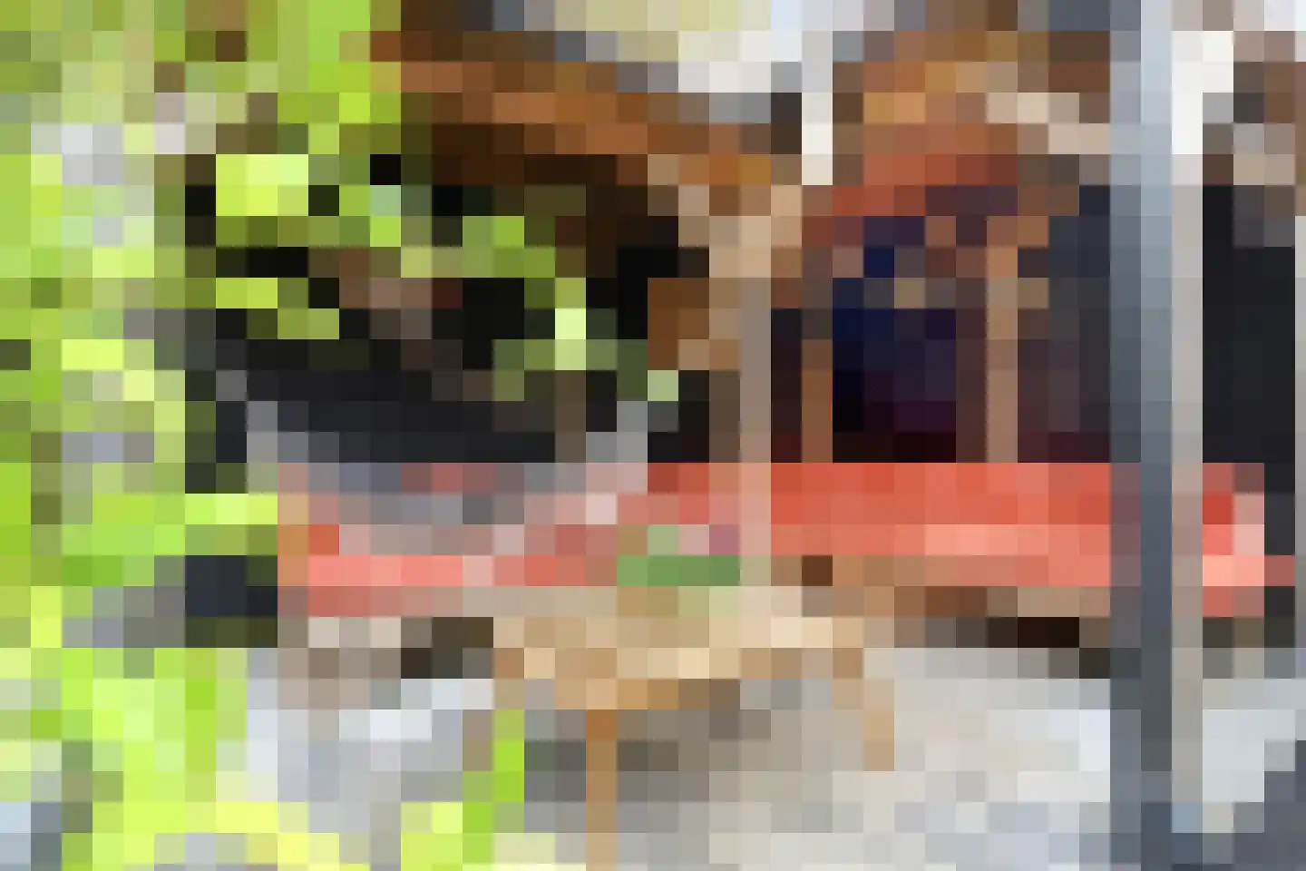 Zeeburgstraat 8 Nieuw- en Sint Joosland thumbnail 6