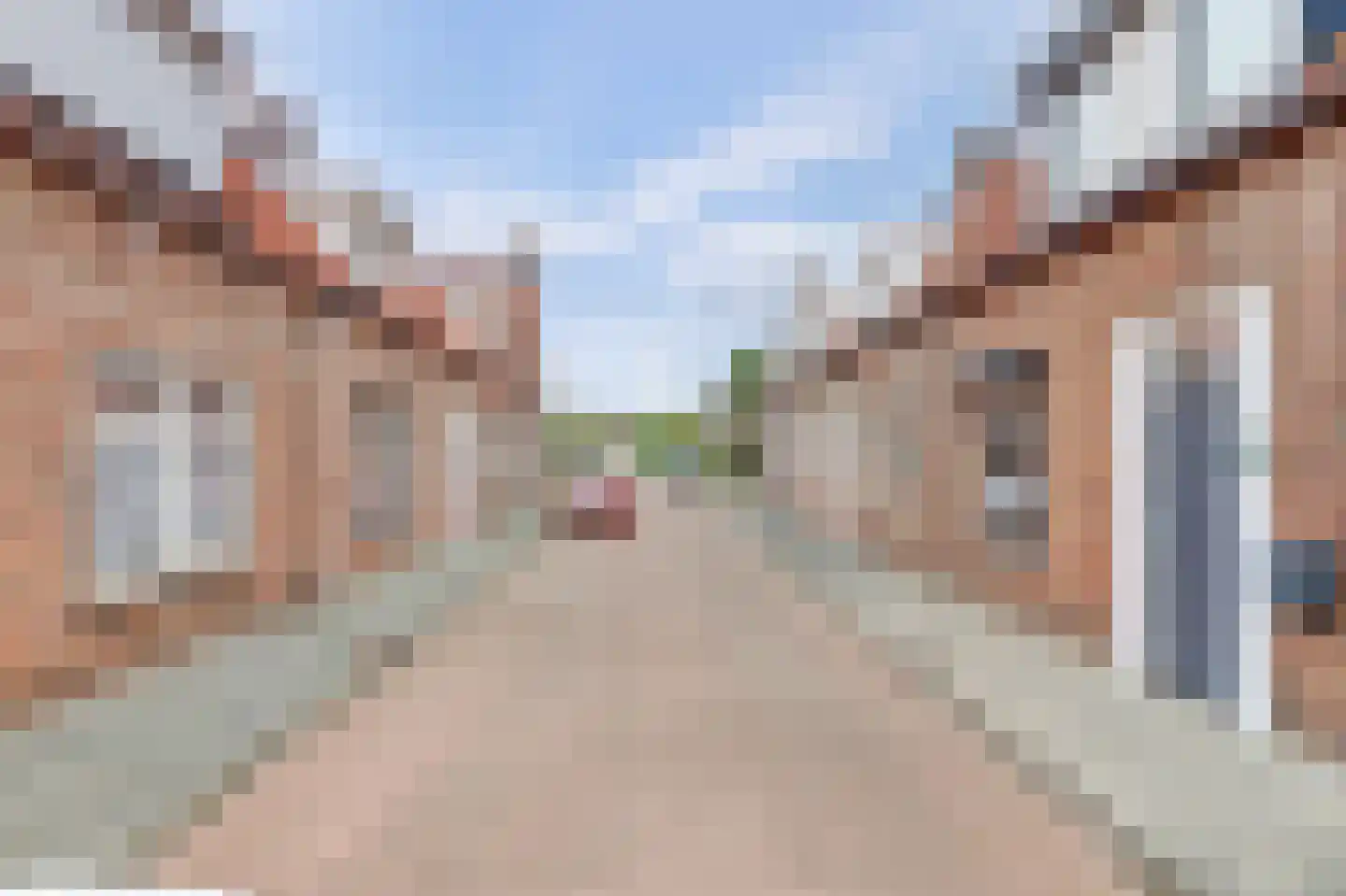 Zeeburgstraat 8 Nieuw- en Sint Joosland thumbnail 7