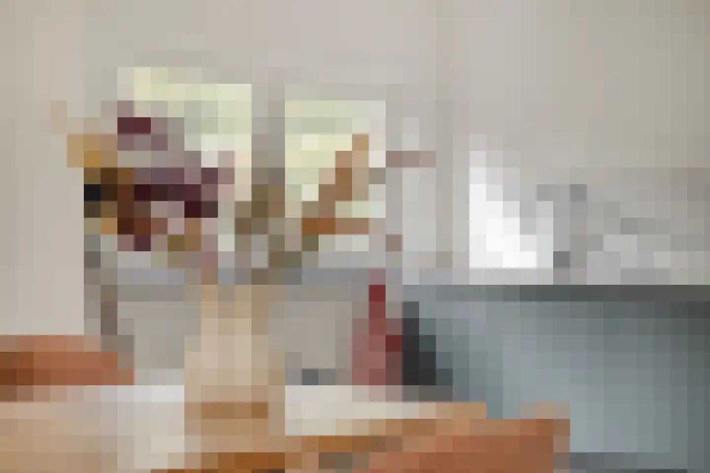 Zeedahliaweg 1 Renesse thumbnail 14