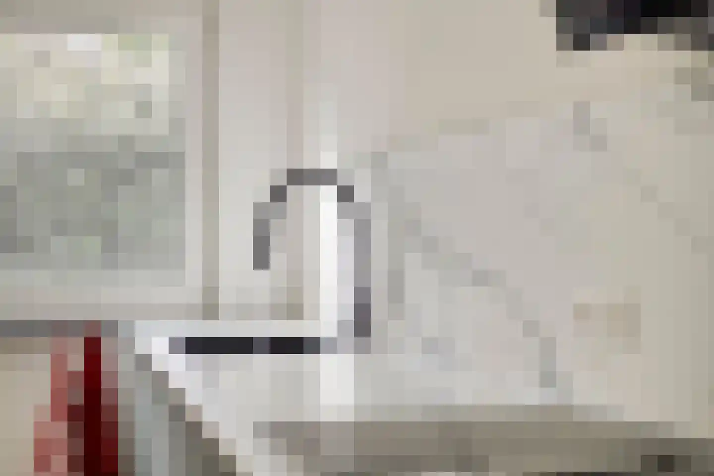 Zeedahliaweg 1 Renesse thumbnail 15