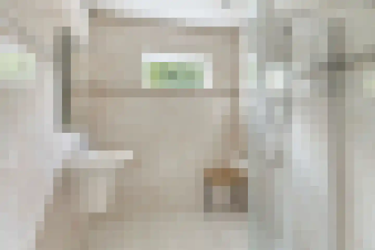Zeedahliaweg 1 Renesse thumbnail 19