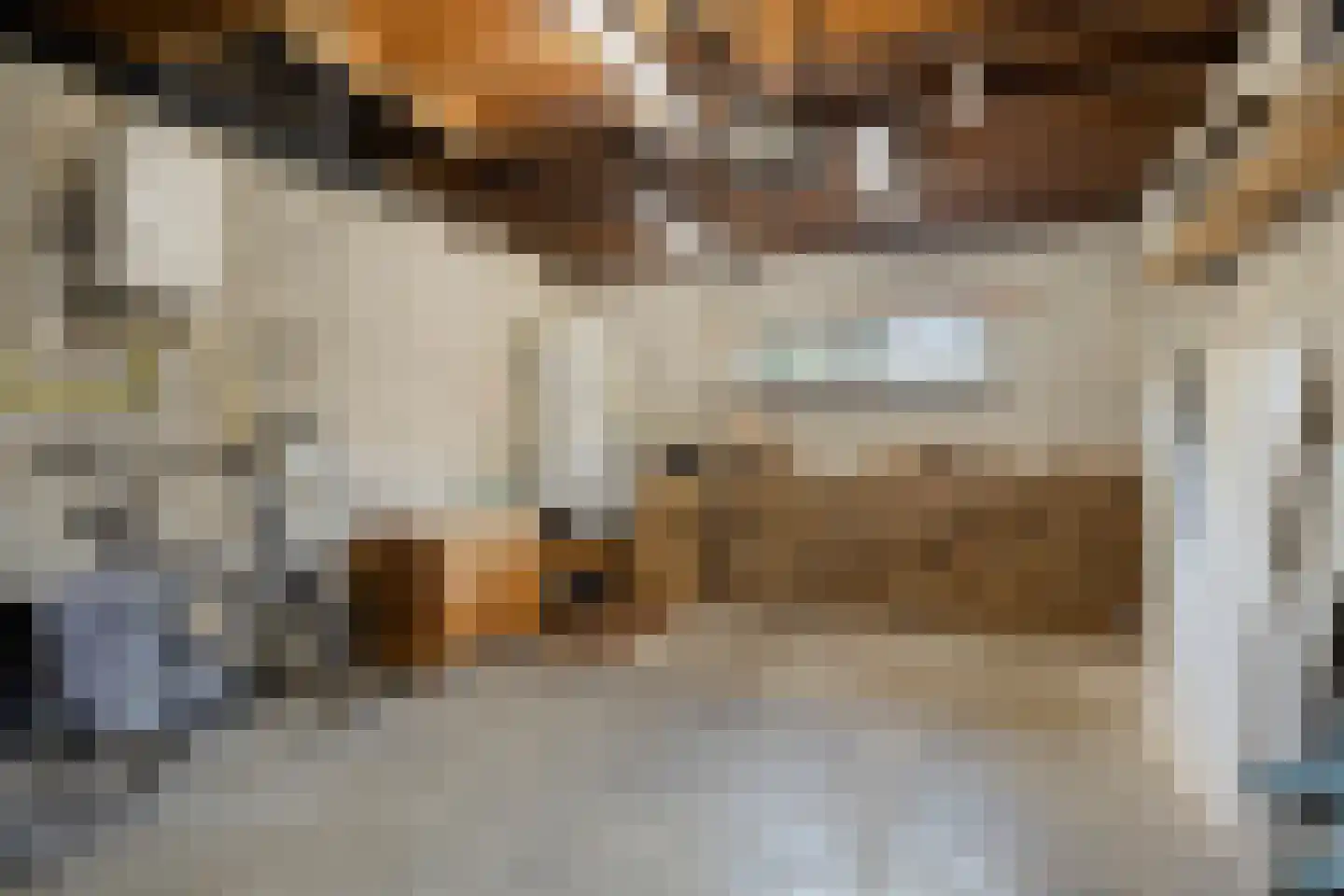 Zeedahliaweg 1 Renesse thumbnail 21
