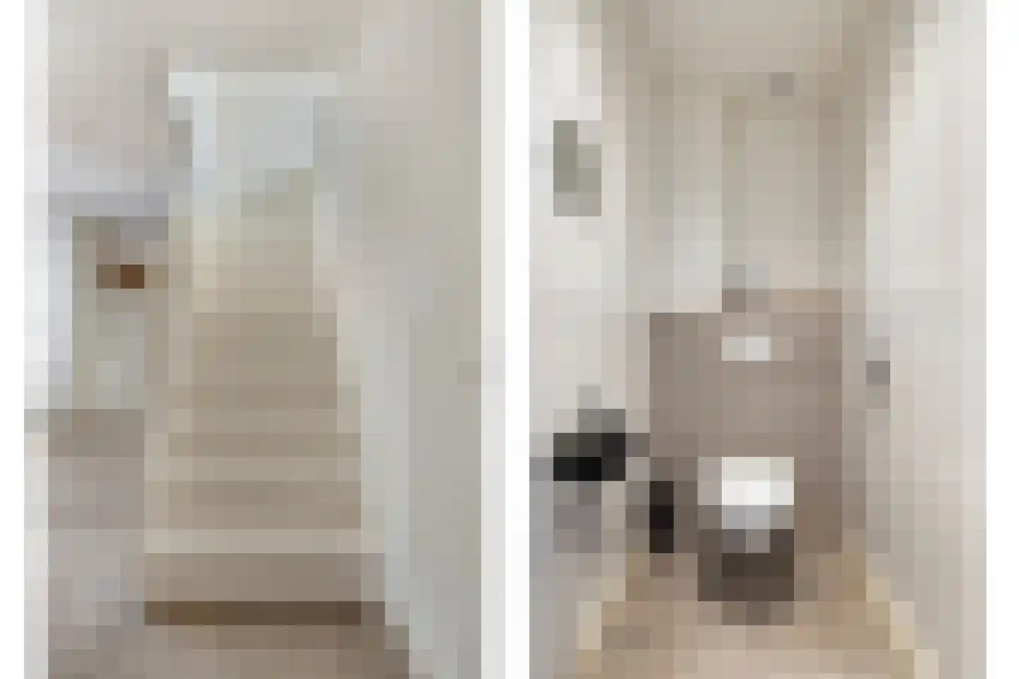 Zeedahliaweg 1 Renesse thumbnail 24