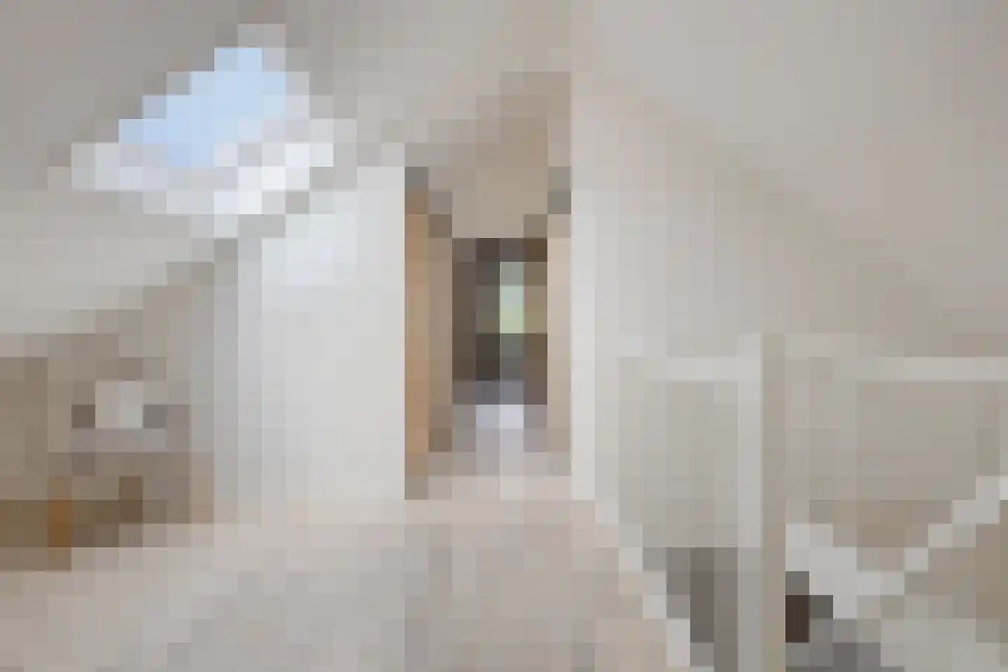 Zeedahliaweg 1 Renesse thumbnail 25