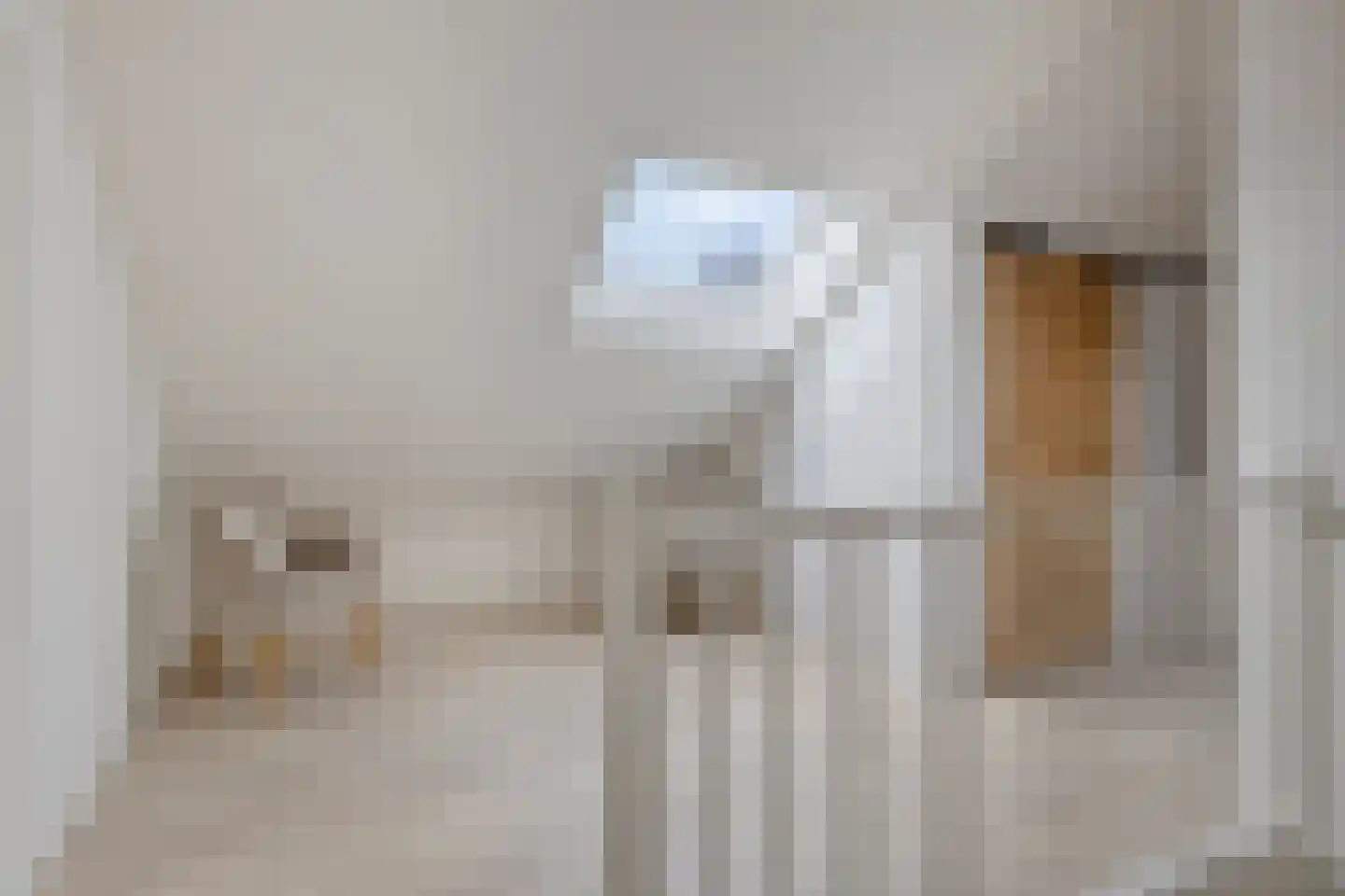 Zeedahliaweg 1 Renesse thumbnail 28