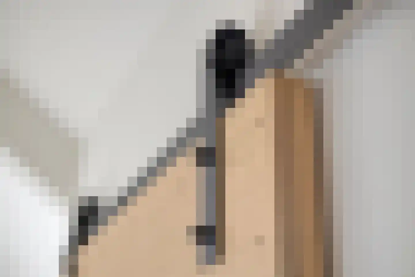 Zeedahliaweg 1 Renesse thumbnail 34