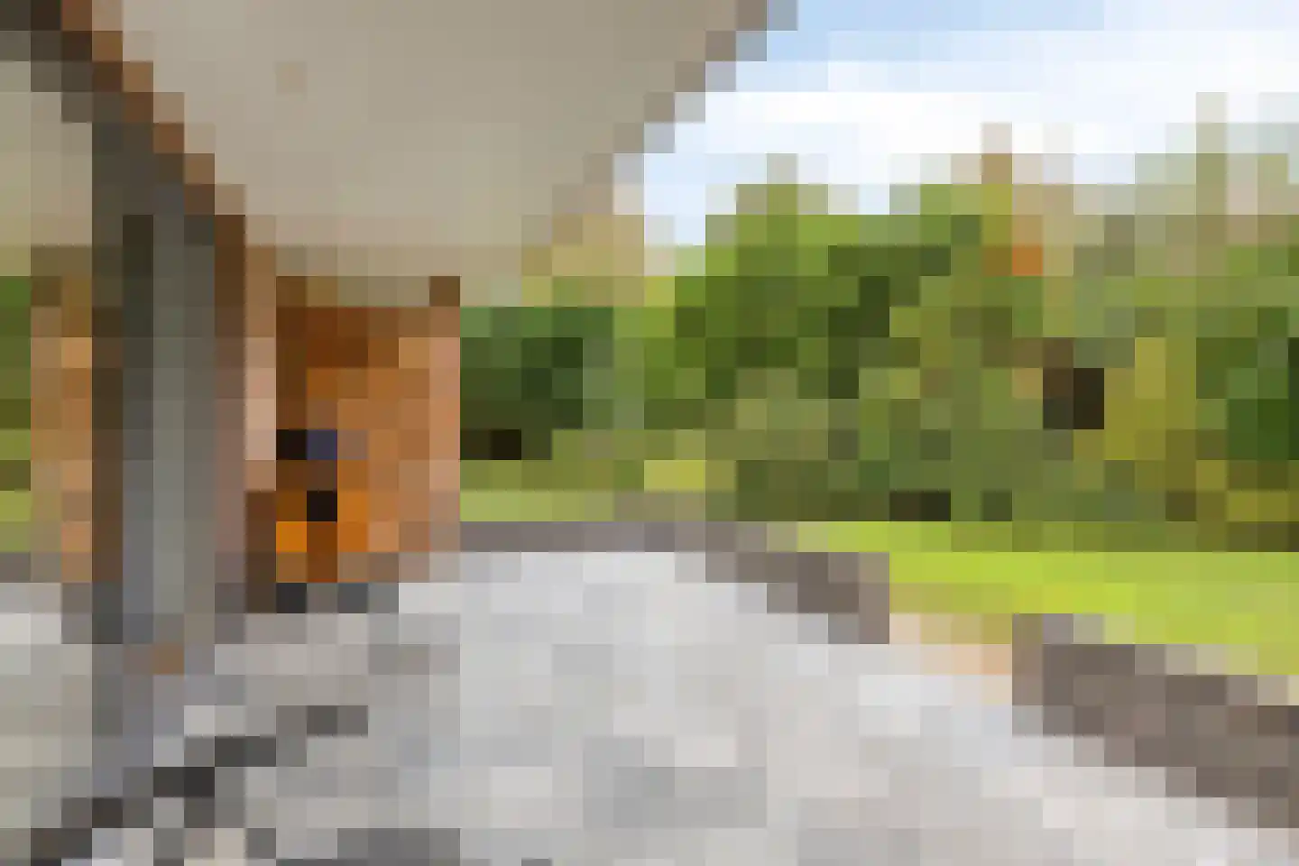 Zeedahliaweg 1 Renesse thumbnail 36