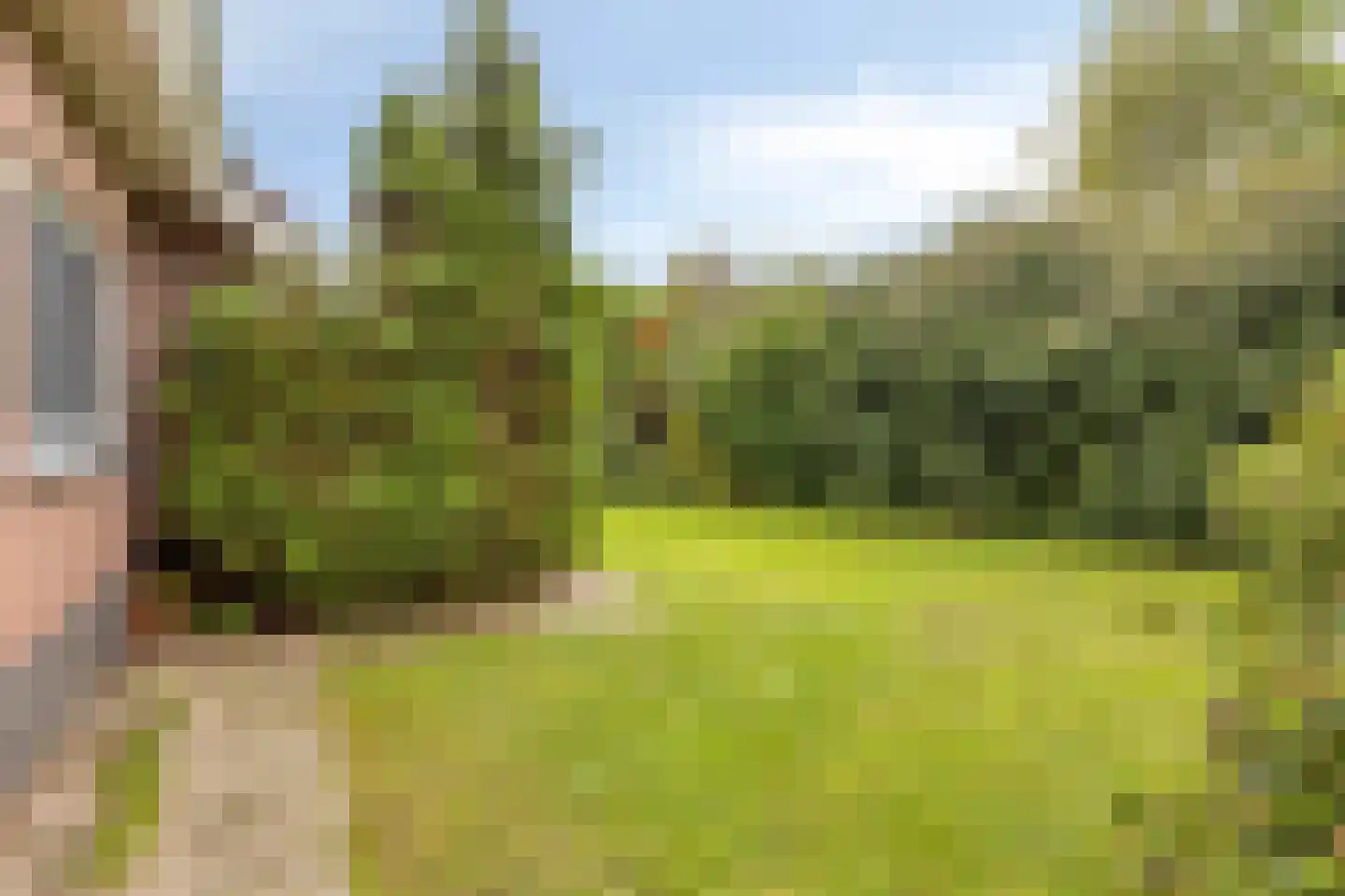 Zeedahliaweg 1 Renesse thumbnail 40