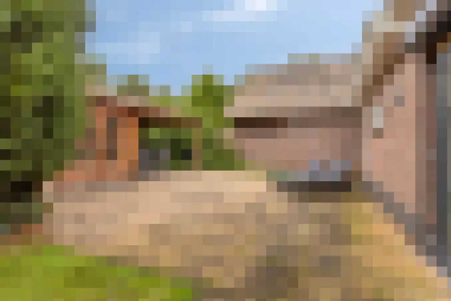 Zeedahliaweg 1 Renesse thumbnail 41