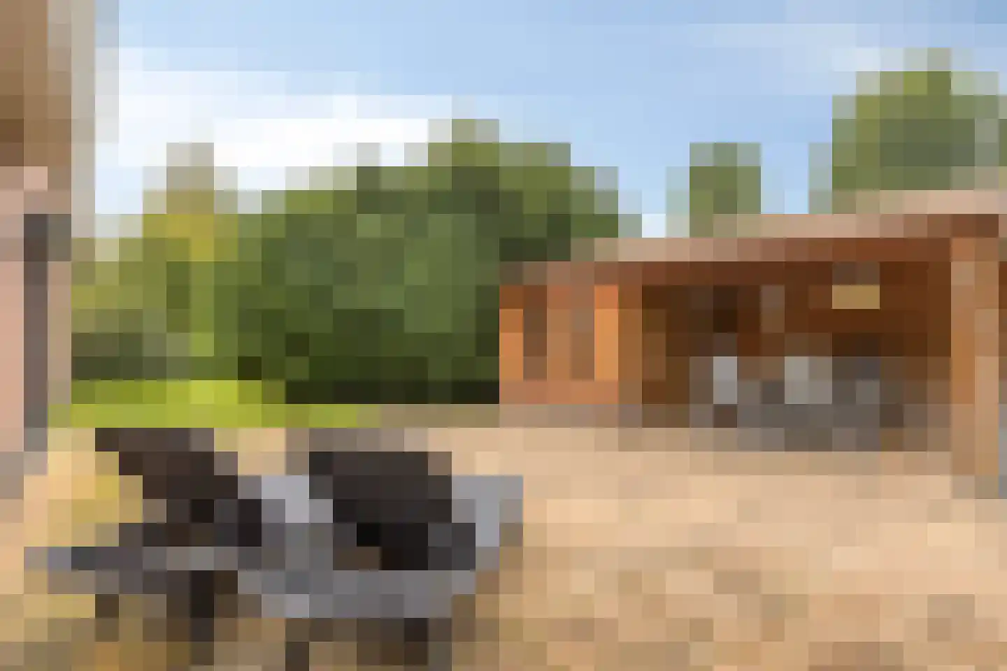 Zeedahliaweg 1 Renesse thumbnail 42