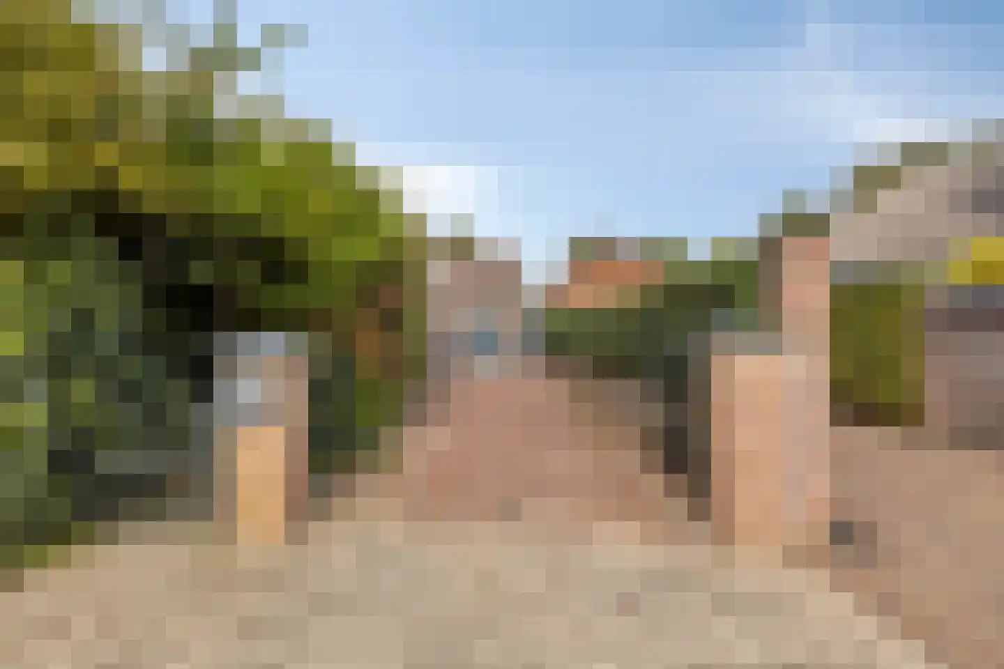 Zeedahliaweg 1 Renesse thumbnail 45